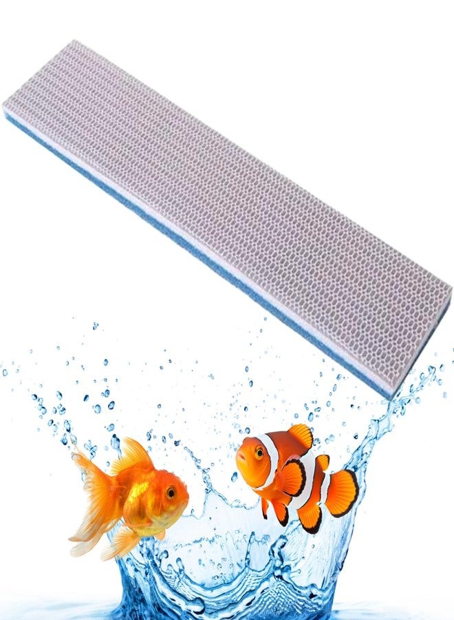 Scroll Store 8D Aquarium Filter Sponge | 11 * 50 cm Reusable Filter Sponge for Aquarium Fish Tank and Koi Pond | Durable high Density Sponge (Pack of 1) - Image 1