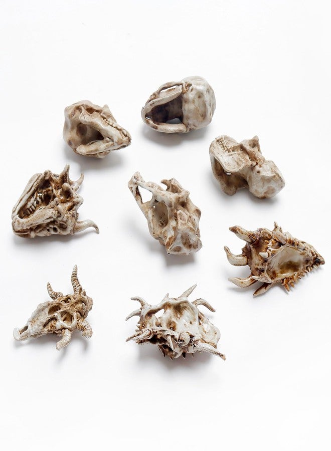 Bbiamsleep 8 Pcs 2.3 Inch Animal Skulls Figurine Resin Mini Skulls Dinosaur Alien Animal Skulls Decor Ornament Mini Skull Heads for DIY Projects Halloween Christmas Decoration - Image 5