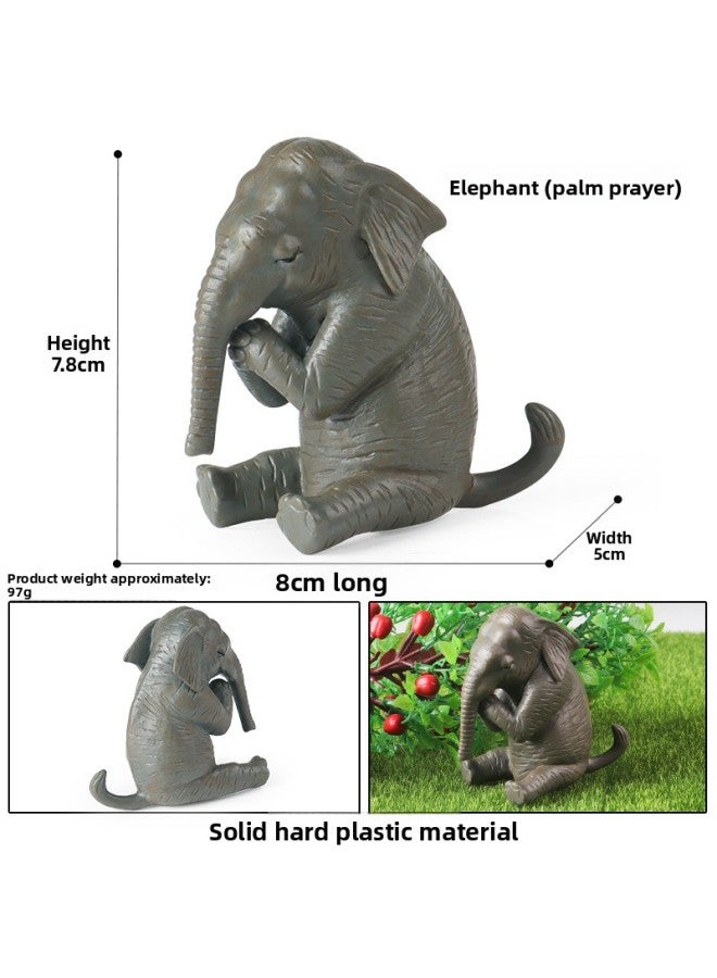 Solid Animal Model Simulation Cognitive Lion Tiger Elephant Hippo Giraffe Brown Bear Kangaroo Zebra Toy