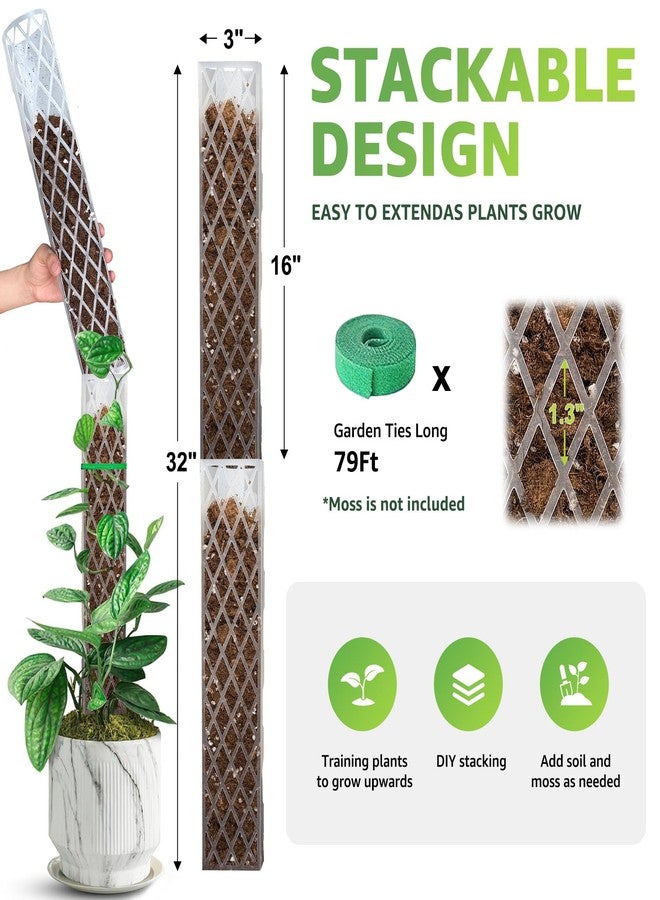 Sisher Monstera Moss Pole 4pcs Plastic Moss Pole for Climbing Plants Work with Sphagnum Moss 16 Inch D Shaped Poles Sturdy Plant Support Stakes Plant for Indoo Plants, White - Image 4