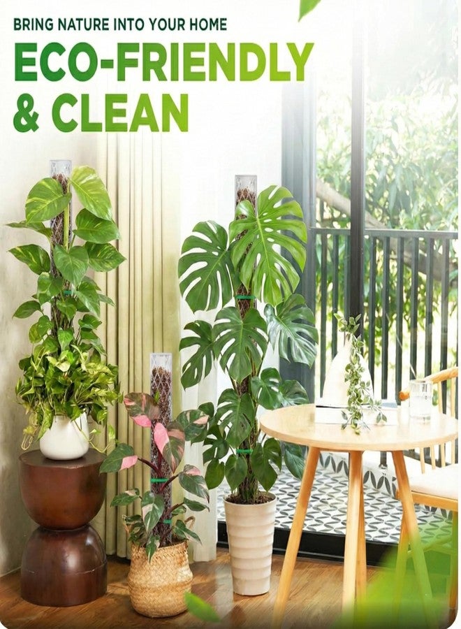 Sisher Monstera Moss Pole 4pcs Plastic Moss Pole for Climbing Plants Work with Sphagnum Moss 16 Inch D Shaped Poles Sturdy Plant Support Stakes Plant for Indoo Plants, White - Image 5