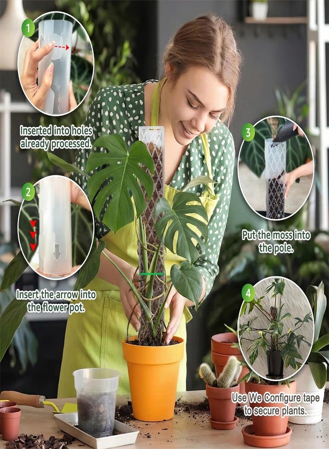 Sisher Monstera Moss Pole 4pcs Plastic Moss Pole for Climbing Plants Work with Sphagnum Moss 16 Inch D Shaped Poles Sturdy Plant Support Stakes Plant for Indoo Plants, White - Image 2