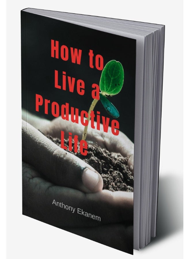How to Live a Productive Life  - Image 2