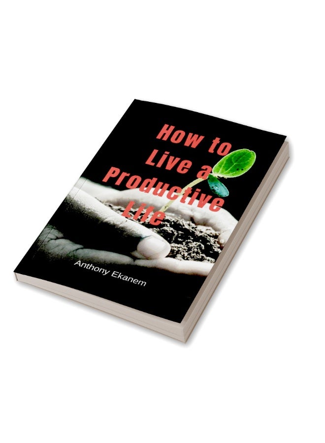 How to Live a Productive Life  - Image 3
