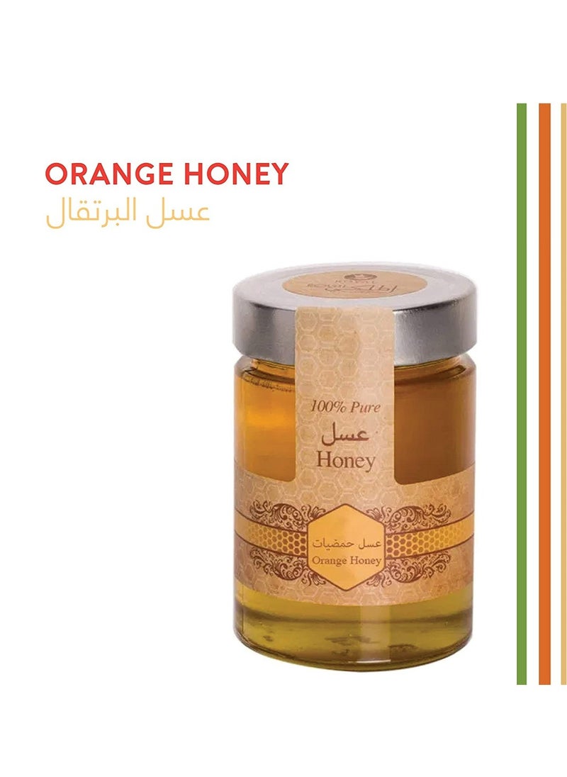 Orange Pure Raw Natural Honey 400g - pzsku/Z48D9CBB1670A4884722EZ/45/_/1724743912/4714f885-63eb-4df9-9c83-89300826cede