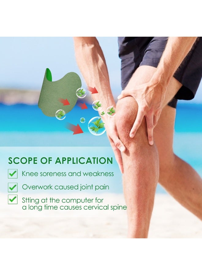 sumifun 12PIECES Lumbar Patches, Heat Patches for Lumbar, Lumbar Relief Patches, Warming Herbal Patches Long-Lasting Relief for for Lumbar, Knee, Back, Neck, Shoulder - Image 3