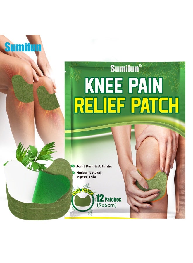 sumifun 12PIECES Lumbar Patches, Heat Patches for Lumbar, Lumbar Relief Patches, Warming Herbal Patches Long-Lasting Relief for for Lumbar, Knee, Back, Neck, Shoulder - Image 1