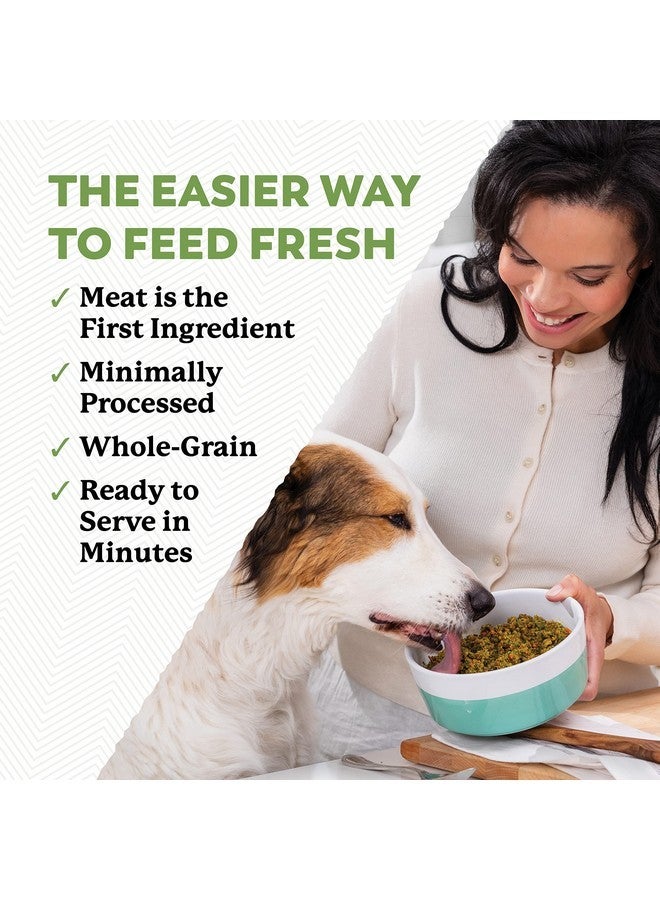 Dr. Harvey's Chicken & Garden Veggies Dog Food, Human Grade Whole-Grain Dehydrated Dog Food with Freeze-Dried Chicken (5 Pounds) - Image 3