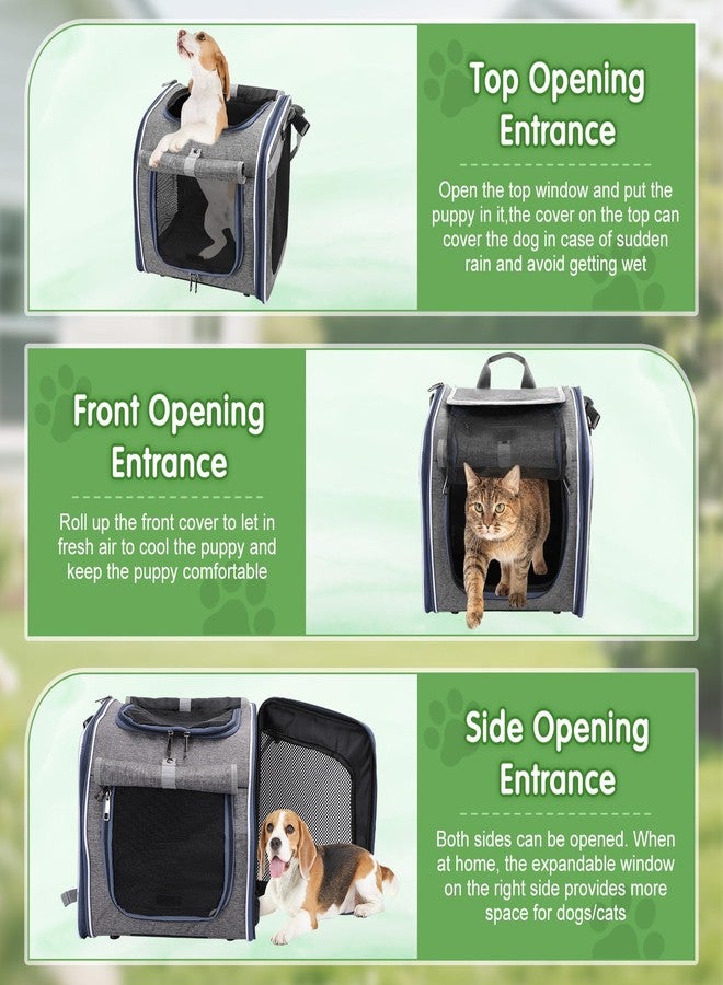 ZEMBSOYA Dog Bike Basket, Expandable Foldable Soft-Sided Dog Carrier, Bike Dog Carrier with Internal Storage Pocket, Dog Backpack Carrier Safe and Easy for Small Medium Cats and Dogs - Image 4