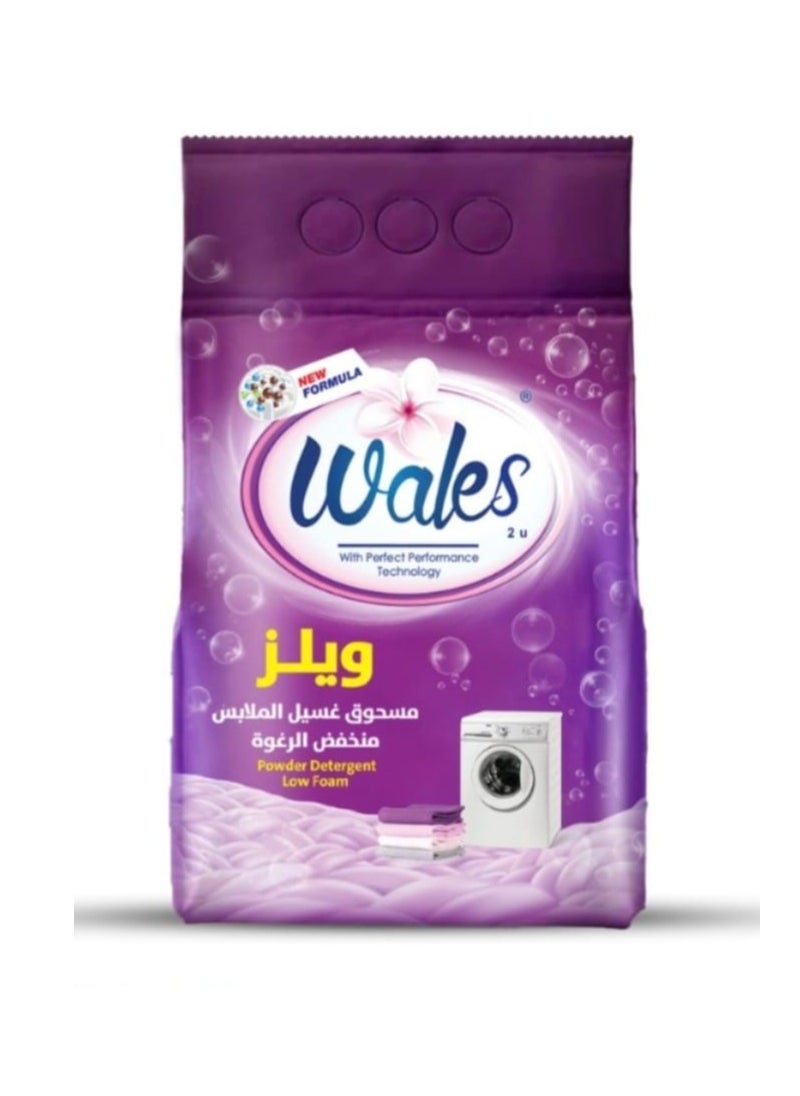 Wales Powder Detergent Low Foam 500g - pzsku/Z48DB30E1FD10F9C3A6A4Z/45/_/1718354841/58b6f409-c684-4e13-8245-6e7c5c773c03