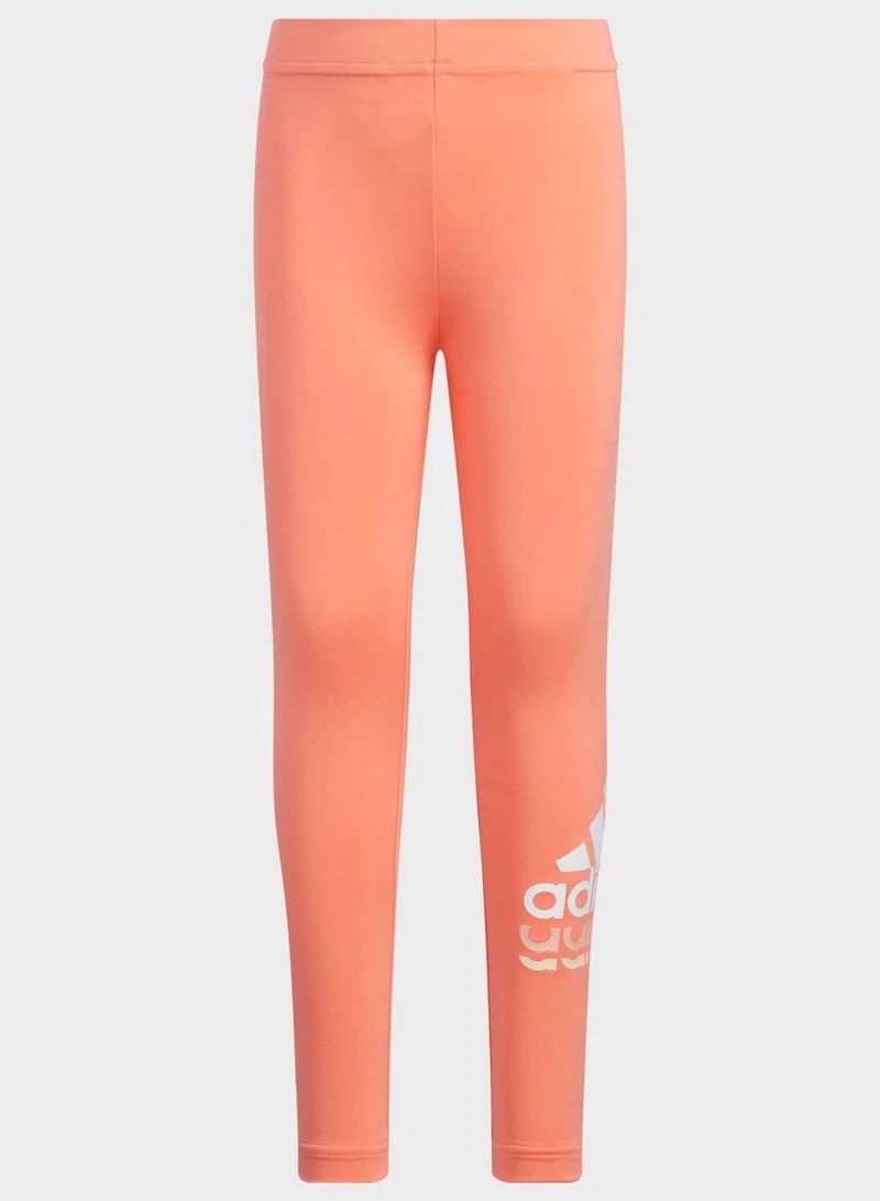 Adidas Badge of Sport Logo Leggings