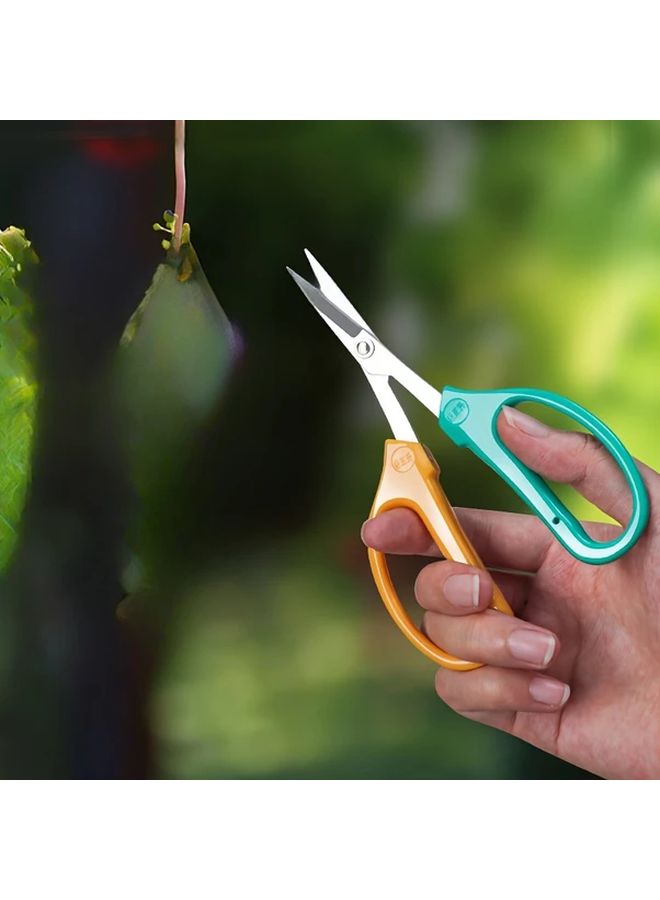 Yellow Green Stainless Steel Grape And Orchid Pruning Shears Durable Garden Scissors For Vines And Small Branches - Image 5