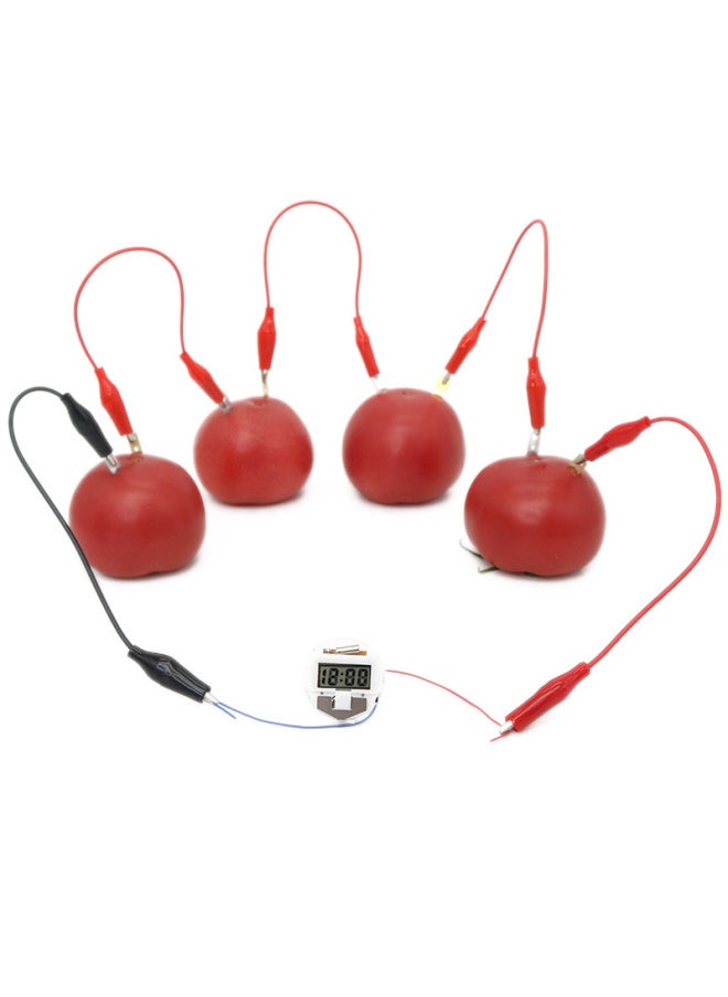 Children's Science Experiment Materials, Fruits And Vegetables, Fruit Batteries, Potato Power Generation, Primary School Students' Stem Physics And Technology Small Production-Color:[send Tools] Material Pack