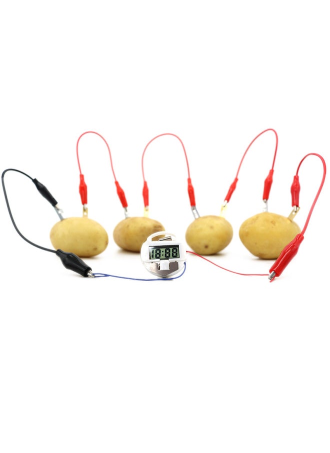 Children's Science Experiment Materials, Fruits And Vegetables, Fruit Batteries, Potato Power Generation, Primary School Students' Stem Physics And Technology Small Production-Color:[send Tools] Material Pack