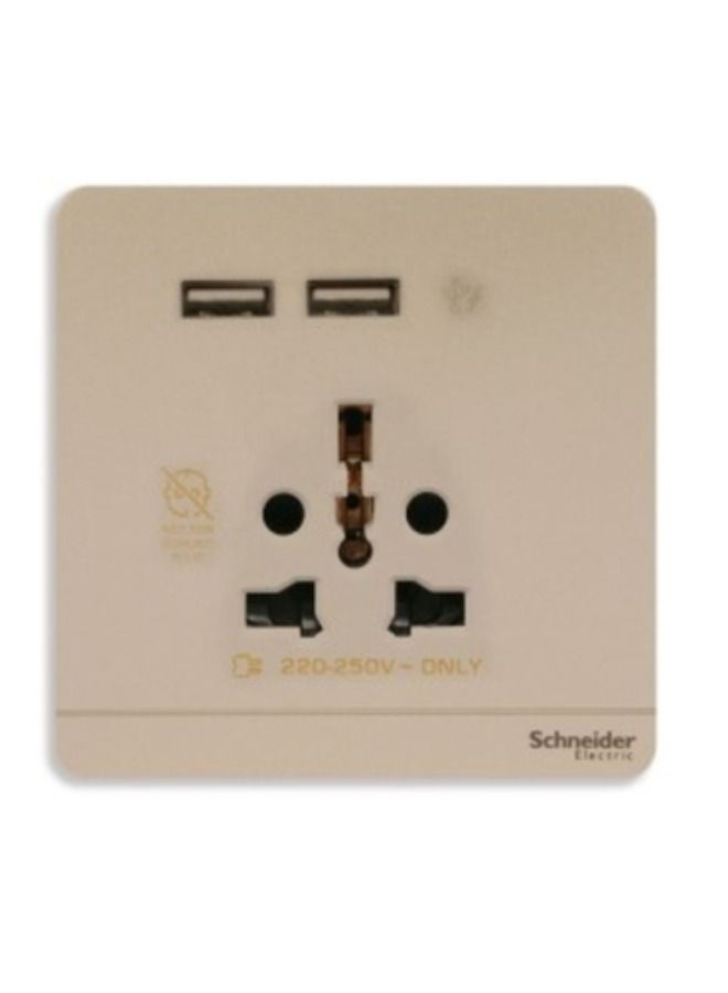 Schneider Electric Schneider Electric AvatarOn USB charger 2 socket outlet 2P 16A Wine Gold E8342616USB_WG 