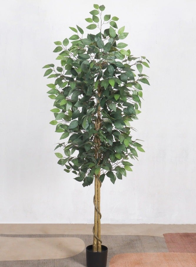 Generic 180cm Artificial Ficus Tree in Black Plastic Pot - Realistic Silk Faux Plant with Lifelike Leaves , Low-Maintenance Indoor/Outdoor Decor for Home, Office, Garden - Includes Sturdy Nursery Planter (1 Pack)  - Image 1