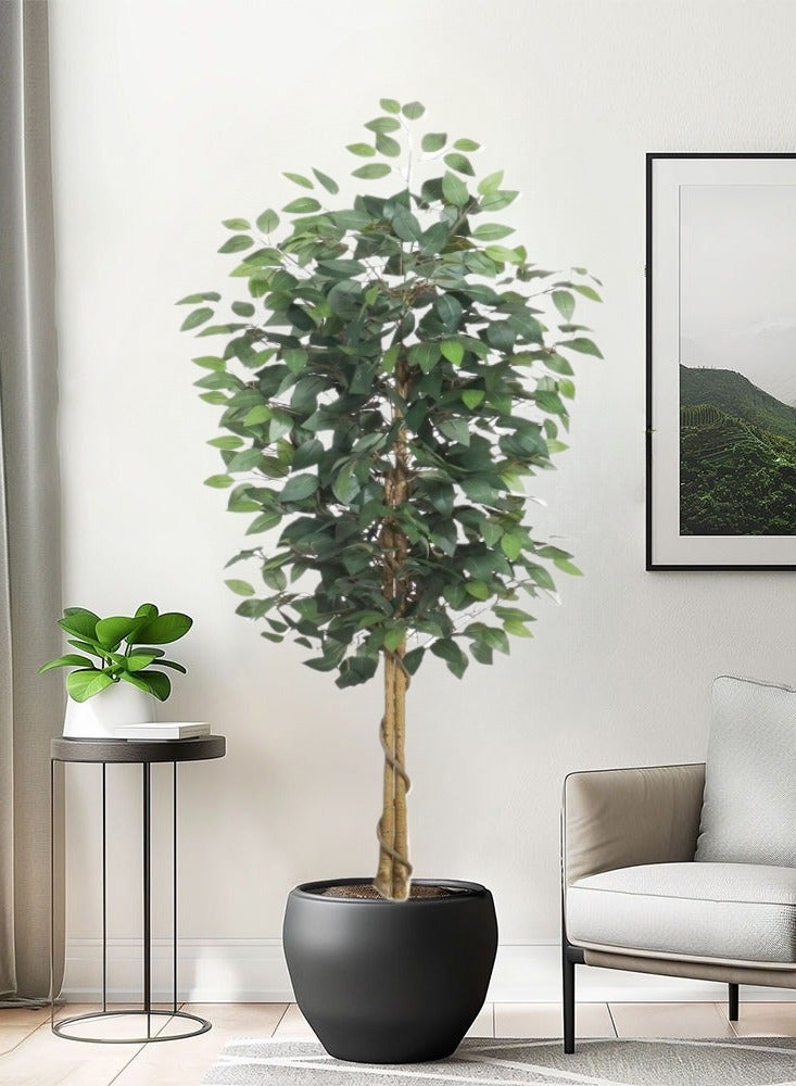 Generic 180cm Artificial Ficus Tree in Black Plastic Pot - Realistic Silk Faux Plant with Lifelike Leaves , Low-Maintenance Indoor/Outdoor Decor for Home, Office, Garden - Includes Sturdy Nursery Planter (1 Pack)  - Image 4