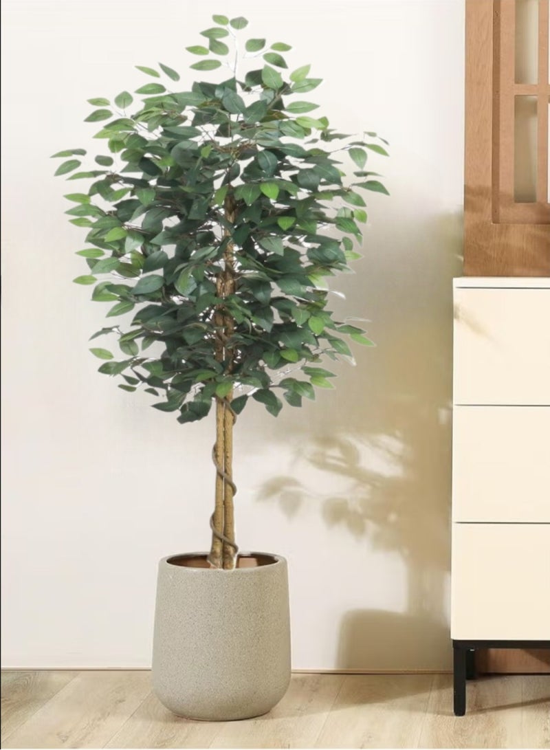 Generic 180cm Artificial Ficus Tree in Black Plastic Pot - Realistic Silk Faux Plant with Lifelike Leaves , Low-Maintenance Indoor/Outdoor Decor for Home, Office, Garden - Includes Sturdy Nursery Planter (1 Pack)  - Image 5