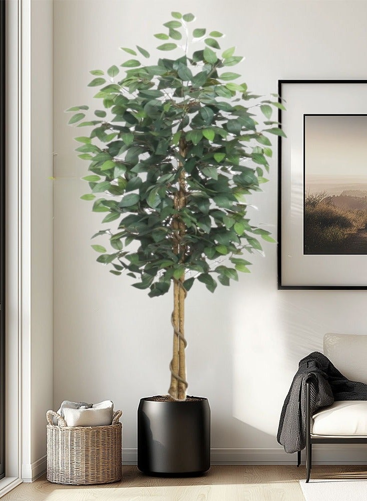 Generic 180cm Artificial Ficus Tree in Black Plastic Pot - Realistic Silk Faux Plant with Lifelike Leaves , Low-Maintenance Indoor/Outdoor Decor for Home, Office, Garden - Includes Sturdy Nursery Planter (1 Pack)  - Image 2