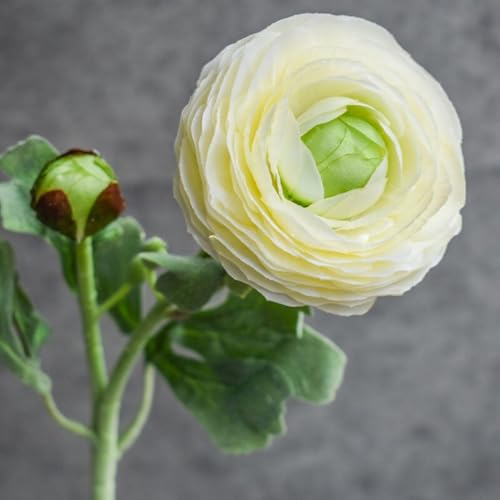 ASTRYAS Ranunculus Artificial Flowers, 10Pcs Fake Silk Ranunculus Flowers Faux Flower Bouquet for Wedding Bouquets Centerpieces Vase Home Table Kitchen Decorations(Hot Pink) - Image 2