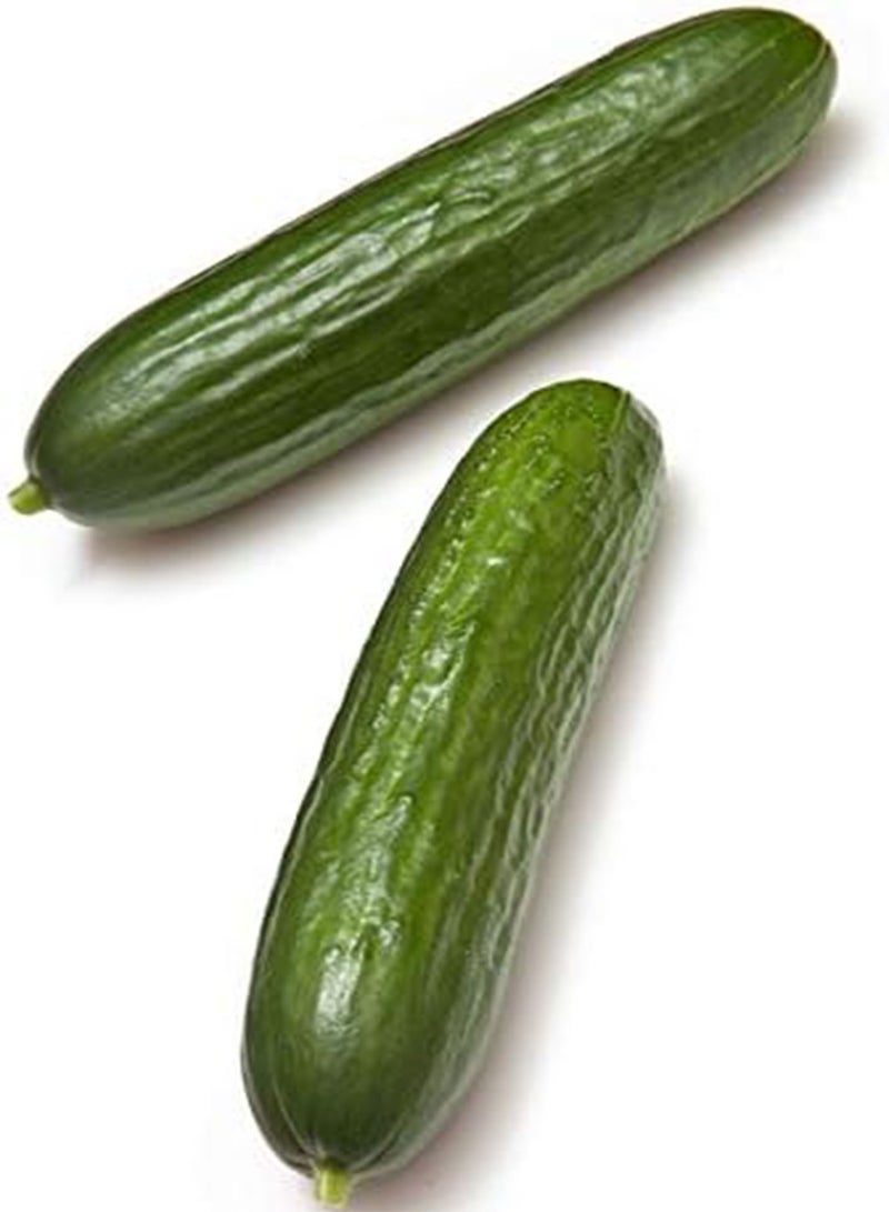 جي جوت 100 قطعة من بذور الخيار الخضراء ذات القشرة الناعمة، محاصيل لا غنى عنها، حصاد على مدار العام، سهلة الزراعة، بذور طازجة، استمتع بمتعة الحصاد، زراعة داخلية وخارجية - Image 3