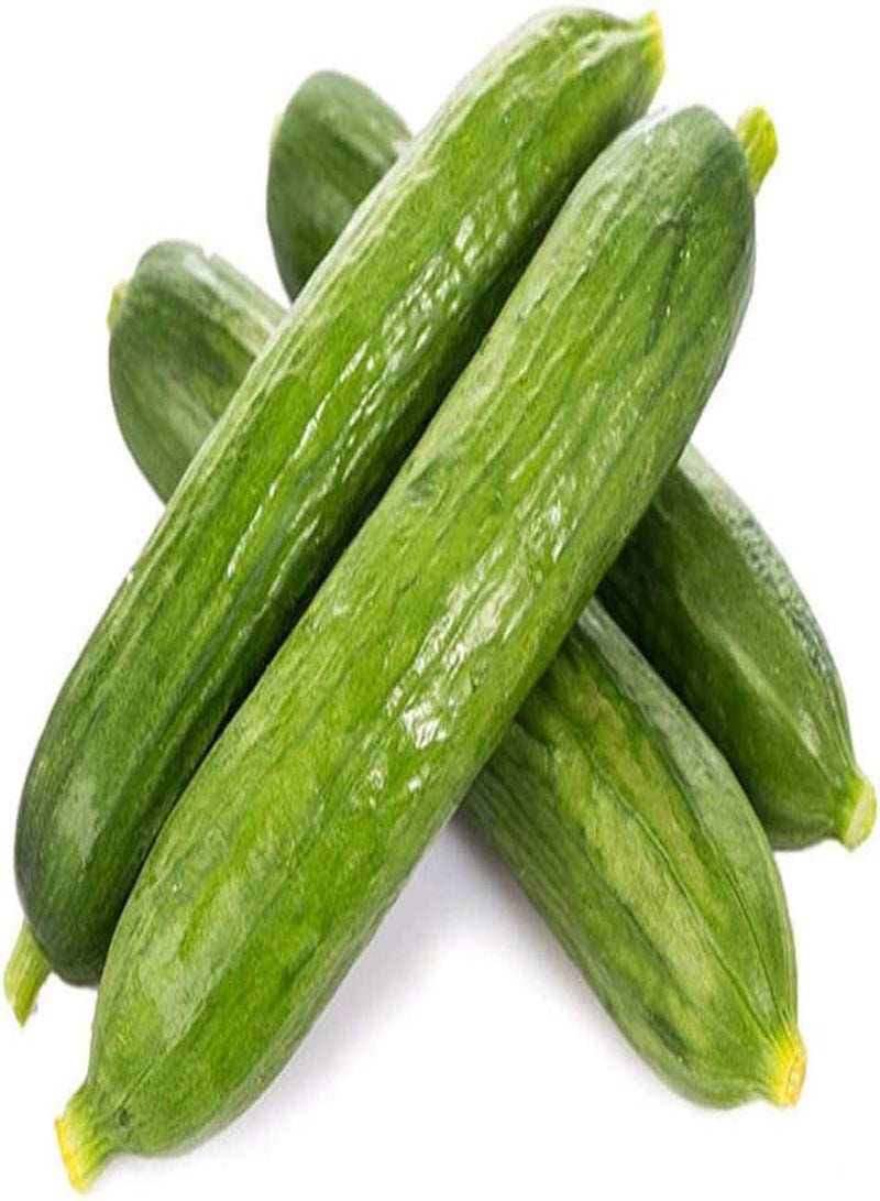 جي جوت 100 قطعة من بذور الخيار الخضراء ذات القشرة الناعمة، محاصيل لا غنى عنها، حصاد على مدار العام، سهلة الزراعة، بذور طازجة، استمتع بمتعة الحصاد، زراعة داخلية وخارجية - Image 1