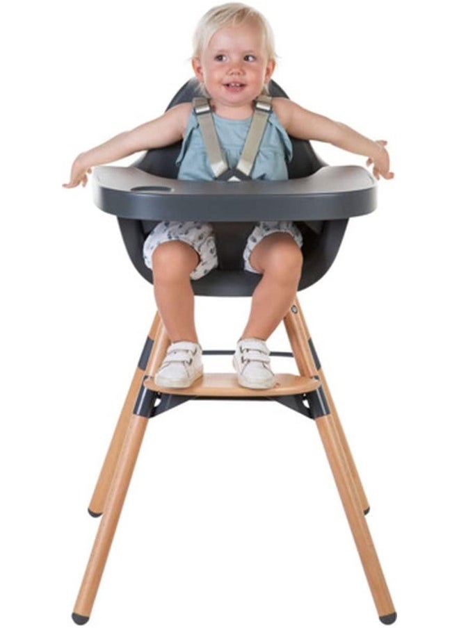 CHILDHOME Childhome, Baby/Child High Chair, Evolutive, From 6 Months Up To 6 Years, Height Adjustable, 5 Point Harness, Many Accessories, Compatible With Evolu Baby Newborn Seat, Beechwood, Evolu 2, Charcoal  - Image 4