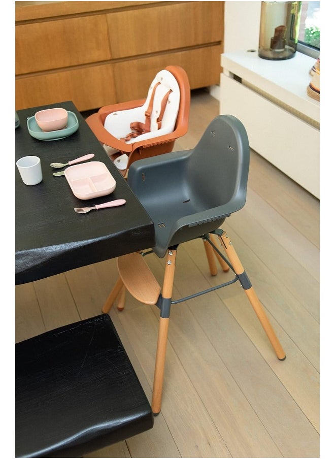 CHILDHOME Childhome, Baby/Child High Chair, Evolutive, From 6 Months Up To 6 Years, Height Adjustable, 5 Point Harness, Many Accessories, Compatible With Evolu Baby Newborn Seat, Beechwood, Evolu 2, Charcoal  - Image 2