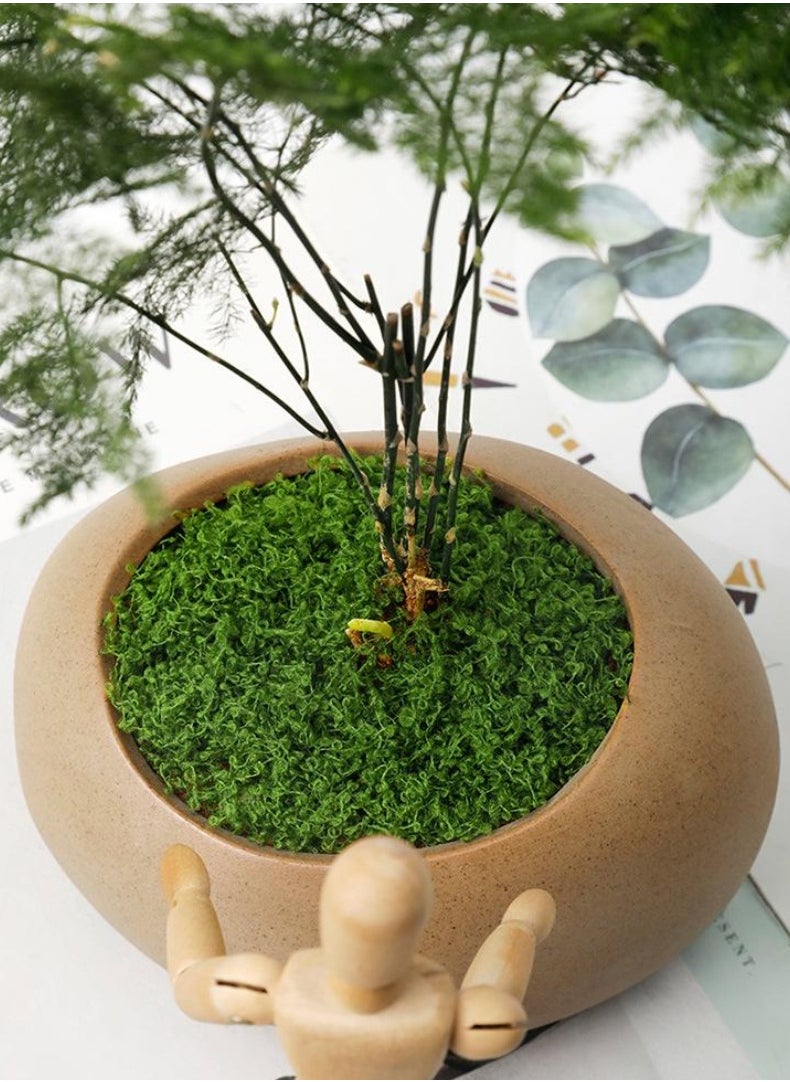 In Air 100g Moss Grass Perfectly Simulates Artificial Moss Fake Green Grass for Centerpieces Home Kitchen Garden Decor Preserved Forest Moss  - Image 3