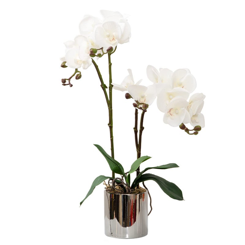 CXGS Artificial Orchid Flower Plant Real Touch Faux Orchids in Ceramic Vase White 197 Fake Phalaenopsis Flower Arrangement Centerpiece Home Indoor Decor