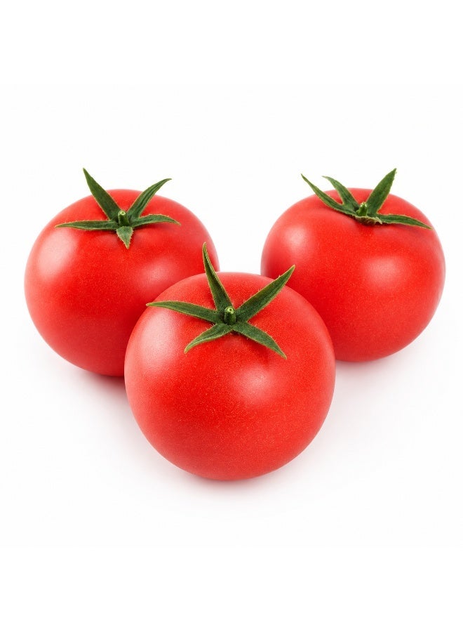 Realistic Artificial Tomato Display Props 3 Piece Set - Image 1