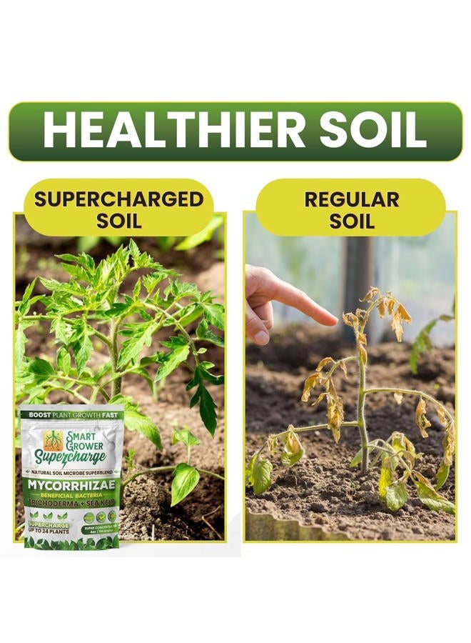 Smart Grower Mycorrhizal Fungi with Beneficial Bacteria, Trichoderma, Sea Kelp, Molasses, Yucca, Smart Grower Supercharge Plant Root Enhancer 4oz Super Concentrate Powder Makes 50 Gallons - Image 3