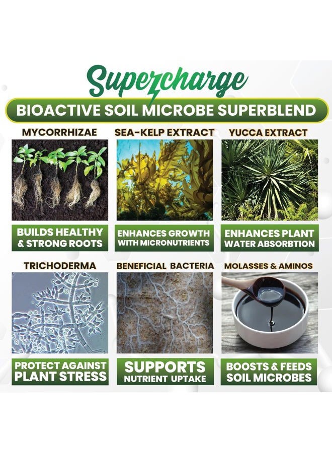 Smart Grower Mycorrhizal Fungi with Beneficial Bacteria, Trichoderma, Sea Kelp, Molasses, Yucca, Smart Grower Supercharge Plant Root Enhancer 4oz Super Concentrate Powder Makes 50 Gallons - Image 2