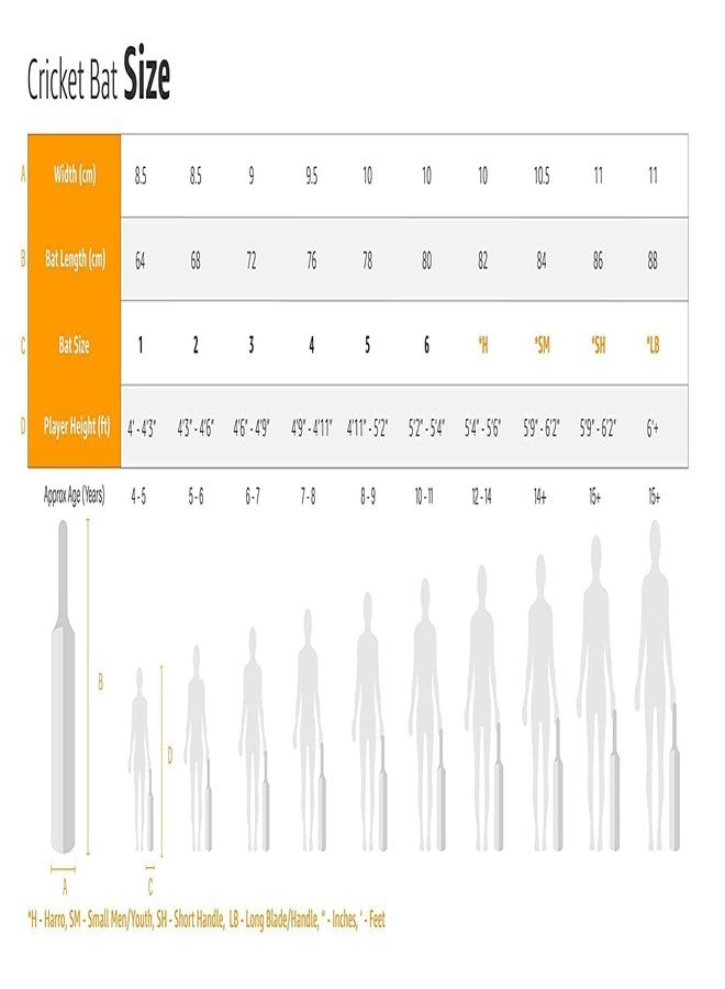 مضرب تنس خشبي من خشب الصفصاف من GRS Kids Zone مع كرة تنس واحدة (مقاس 3 للفئة العمرية 8 سنوات) - Image 3
