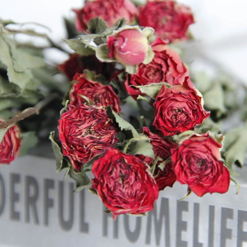 Bluejw Hot Selling Natural Dried Flower Spray Rose - Long Lasting Real Dried Plants for Holiday Display & Home Decor - Image 4