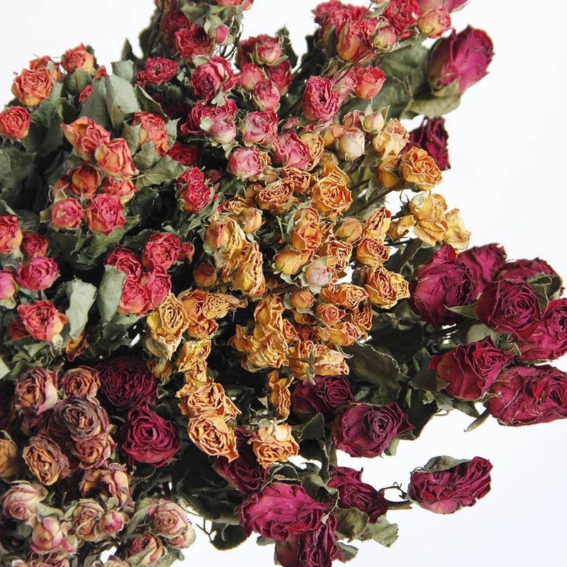 Bluejw Hot Selling Natural Dried Flower Spray Rose - Long Lasting Real Dried Plants for Holiday Display & Home Decor - Image 3