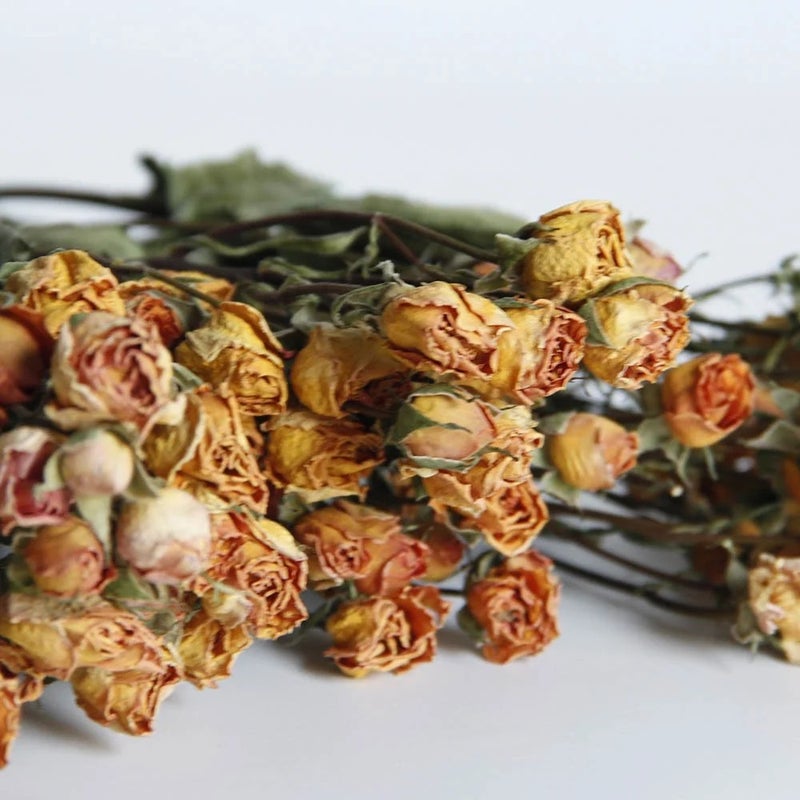 Bluejw Hot Selling Natural Dried Flower Spray Rose - Long Lasting Real Dried Plants for Holiday Display & Home Decor - Image 5