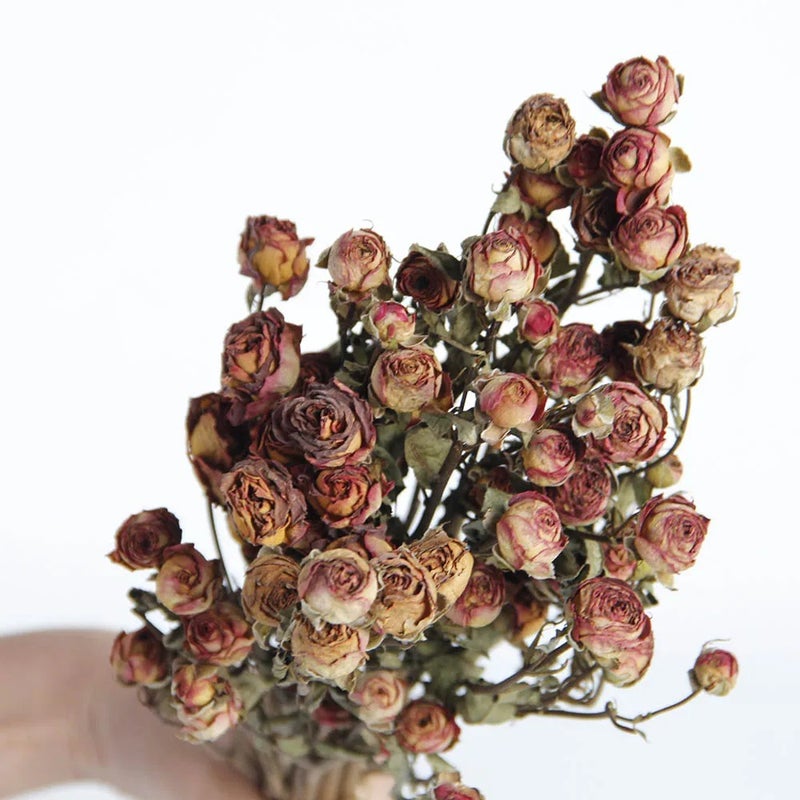 Bluejw Hot Selling Natural Dried Flower Spray Rose - Long Lasting Real Dried Plants for Holiday Display & Home Decor - Image 1