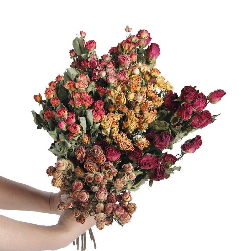 Bluejw Hot Selling Natural Dried Flower Spray Rose - Long Lasting Real Dried Plants for Holiday Display & Home Decor - Image 2