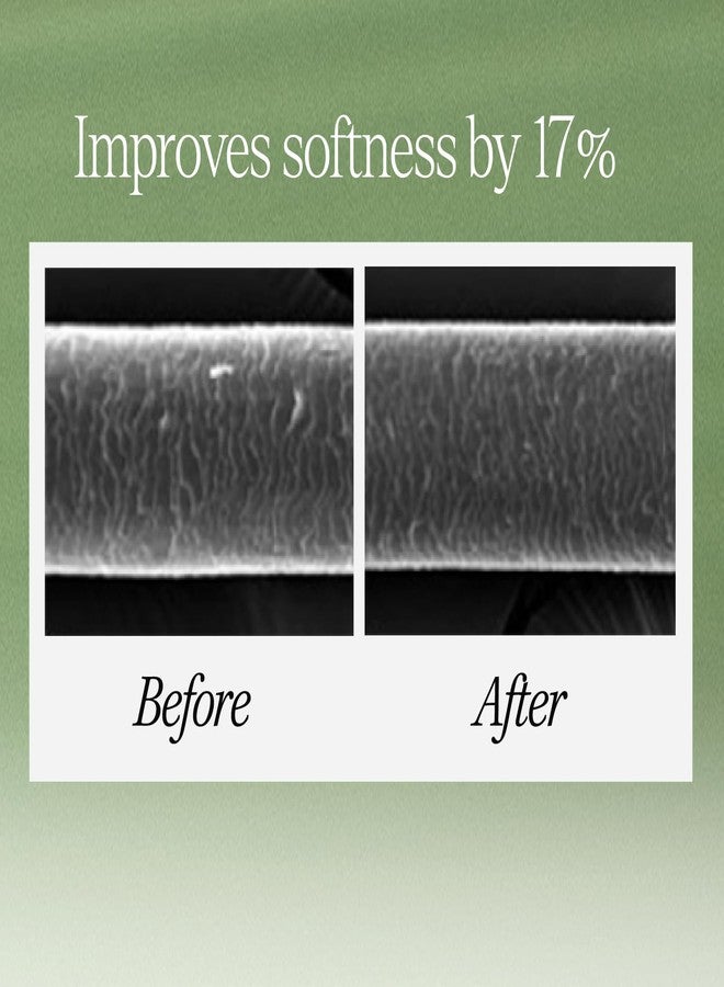 LONGTAKE Sandalwood Intensive Hair Perfume Clarifying Shampoo 10.1 Fl Oz, 300MLㅣVolumizingㅣAnti-frizzㅣImproves softnessㅣFor All Types - Image 2