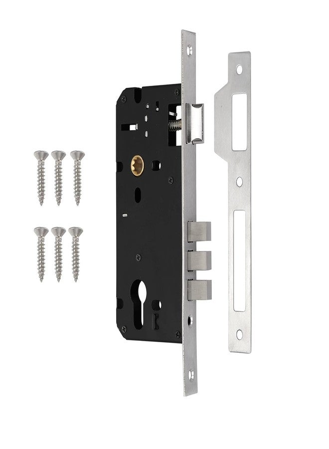 RAB Heavy Duty Brass Lock Body Set for Wooden Door, Mortise Lock Body, Rose Handle Lock Body (Code- Lock Body CY, Finish- SS, Matt, Size- 10", Pack of 1 Lock Body) - Image 1