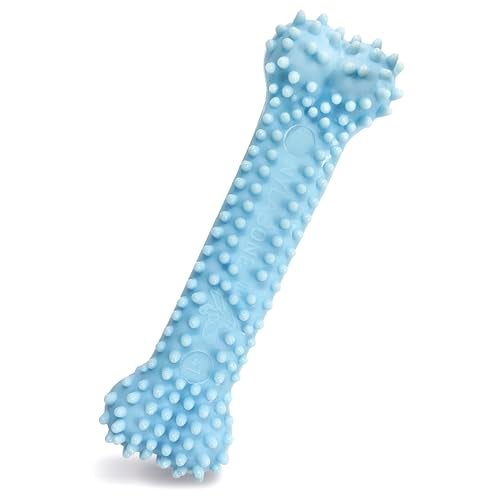 Nylabone Puppy Chew Blue Textured Teething Bone - Chewing Toys for Puppies - Puppy Supplies - Chicken Flavor, X-Small Dogs - Up to 15 Ibs, 1 Count - Image 1