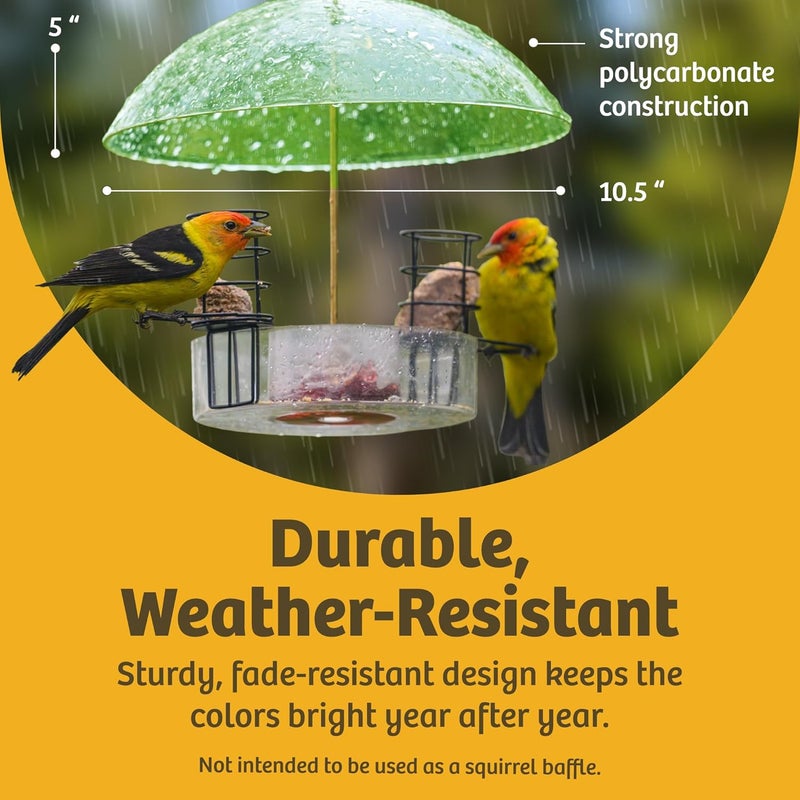 Birds Choice 10" Hanging Bird Feeder Protective Dome Cover, Orange - Compatible with Nectar or Tube Feeders, Made to Withstand Harsh Weather Conditions - Image 5