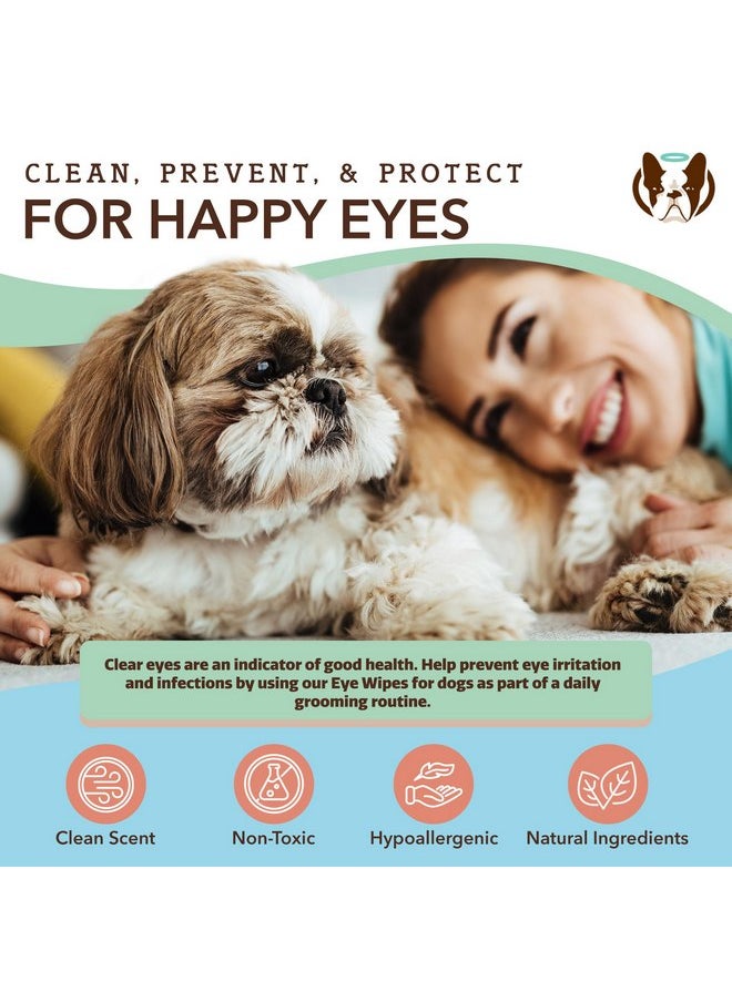  شركة Natural Dog - مناديل طبيعية لعيون الكلاب - 50 عبوة - مناديل مهدئة لعيون الكلاب بمكونات طبيعية غير مزعجة، الشاي الأخضر والذهب الذهبي، مناديل فعالة لإزالة بقع الدموع من عيون الكلاب ومناديل لإزالة الأوساخ من عيون الكلاب، نباتية - Image 1