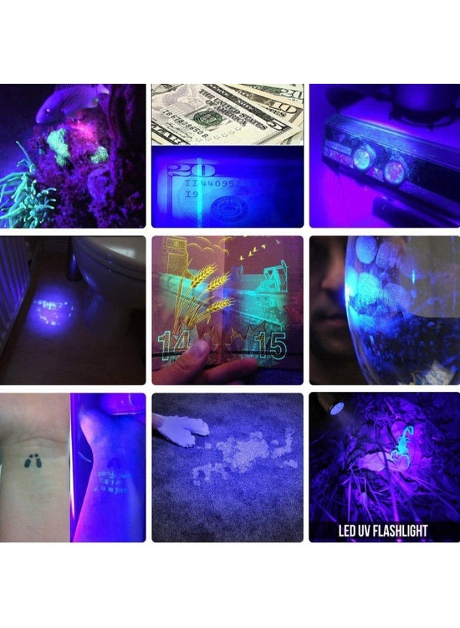 DEXO مصباح يدوي بالأشعة فوق البنفسجية 395 نانومتر محمول للغاية – للكشف عن بول الحيوانات، الحبر غير المرئي، المجوهرات، النقود، الهوية وأكثر – سبيكة ألومنيوم، مقاوم للماء – مثالي للمنزل، التخييم، العقارب، كشف البقع، خارجي، سفر - Image 4