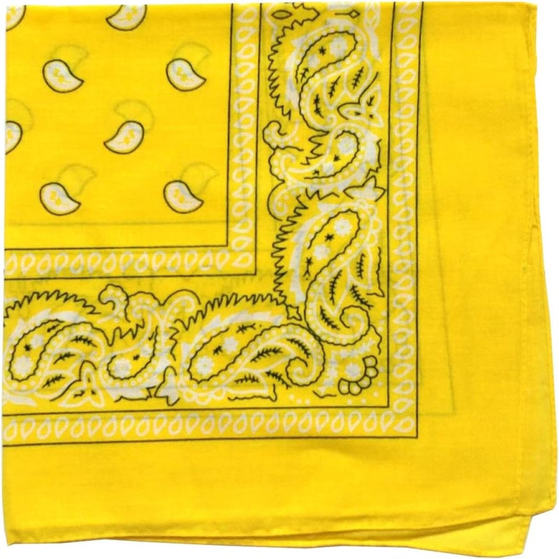 ComboCube 12 Pack(one Dozen) Multi-Purpose Cotton Paisley Cowboy Bandanas Headband for Men and Women - Image 1