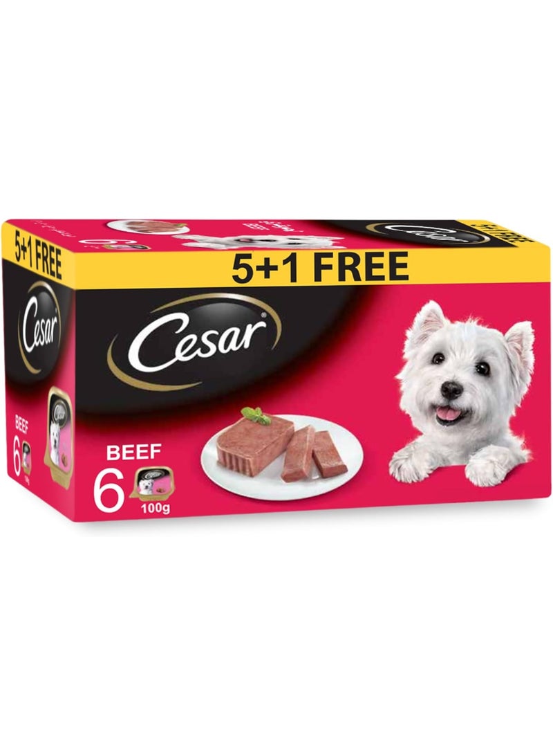 Cesar Beef Dog Wet Food Complete & Balanced Dog Nutrition 6 Pcs X 100G - Image 1