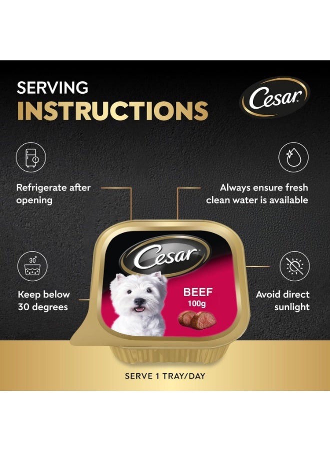 Cesar Beef Dog Wet Food Complete & Balanced Dog Nutrition 6 Pcs X 100G - Image 5