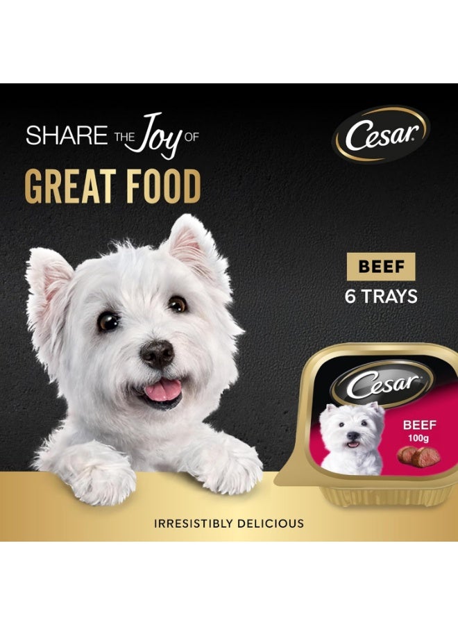 Cesar Beef Dog Wet Food Complete & Balanced Dog Nutrition 6 Pcs X 100G - Image 2