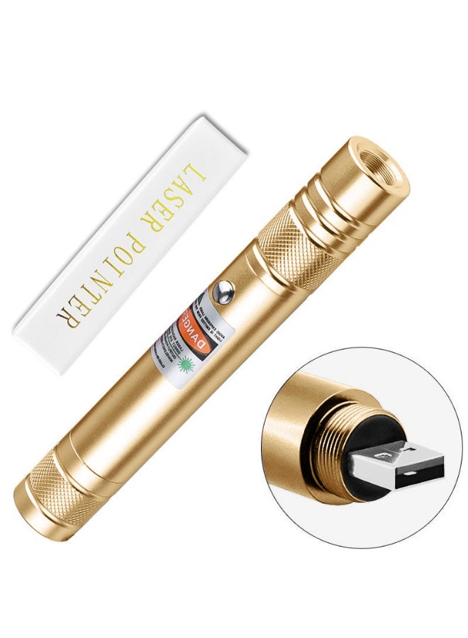 High Power Laser Pointer Green rechargeable LED Flashlight（Gold） - Image 2
